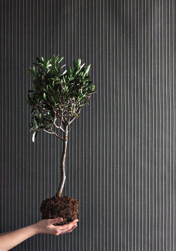 Upholstery fabrics - sofa FORSIZIA - IRISUN BY GIOVANARDI