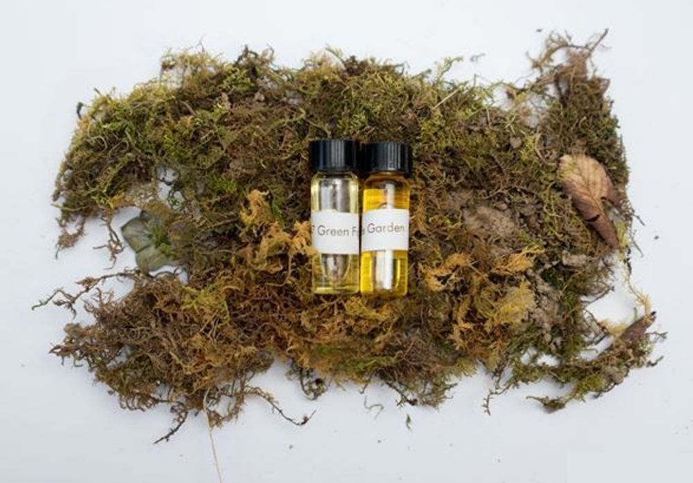 Customizable objects - AllSense Signature Fragrance Design - ALLSENSE SCENT LAB