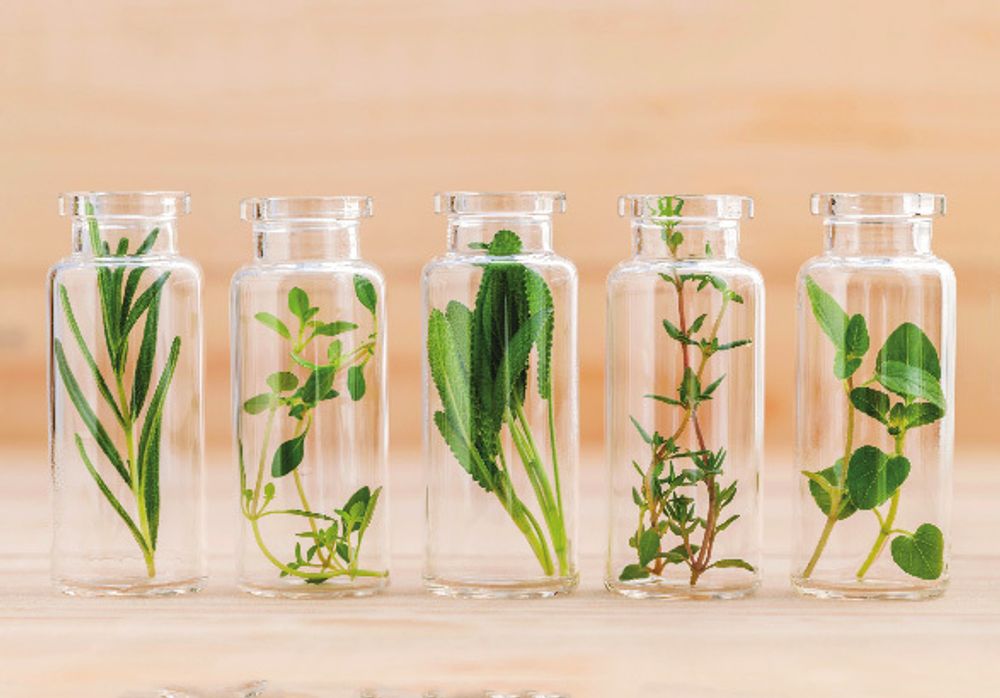 Customizable objects - AllSense Signature Fragrance Design - ALLSENSE SCENT LAB