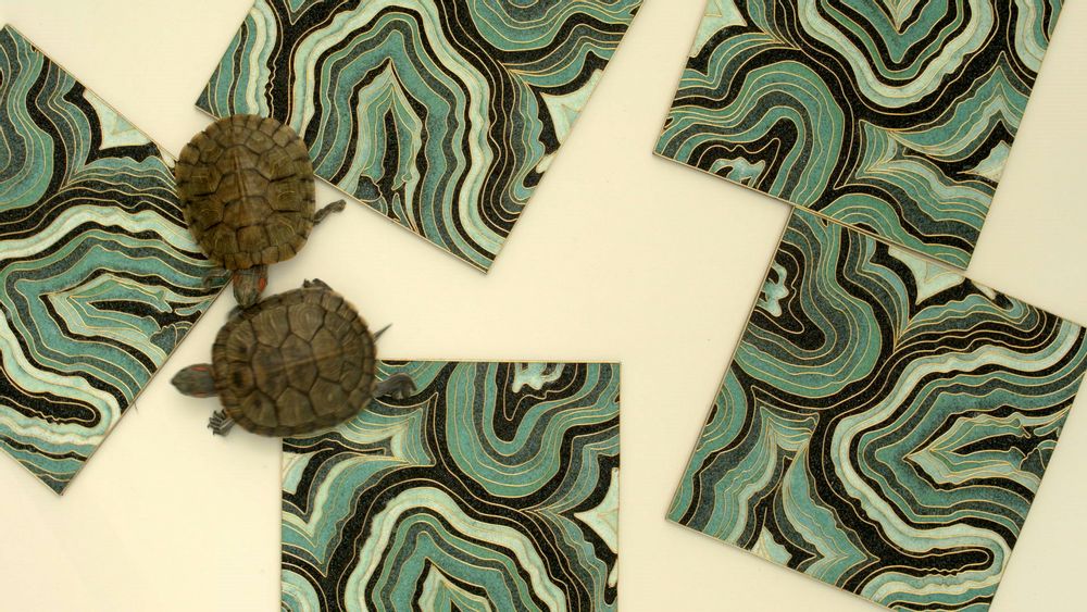 Carreaux de faïence - Carreaux cloisonnés - LALA CURIO LIMITED