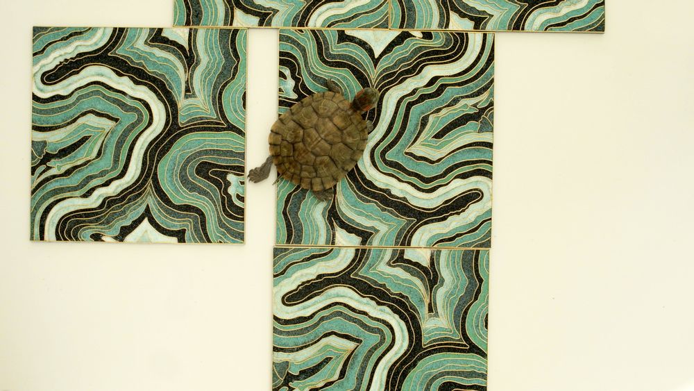 Carreaux de faïence - Carreaux cloisonnés - LALA CURIO LIMITED
