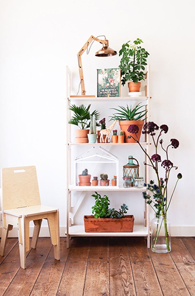 Shelves - Wall cabinet - SLIDE-ART