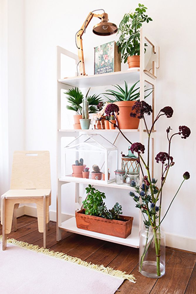 Shelves - Wall cabinet - SLIDE-ART