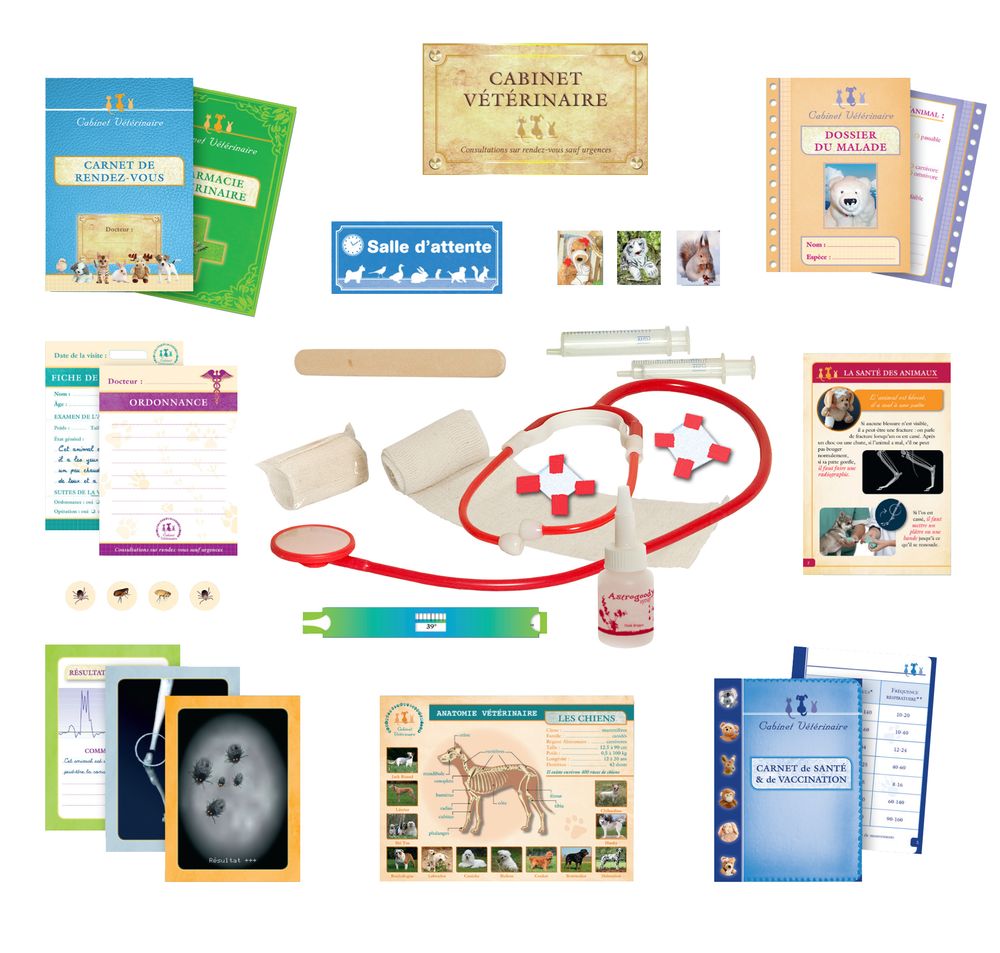 Jeux enfants - Si j'étais le vétérinaire - AMULETTE