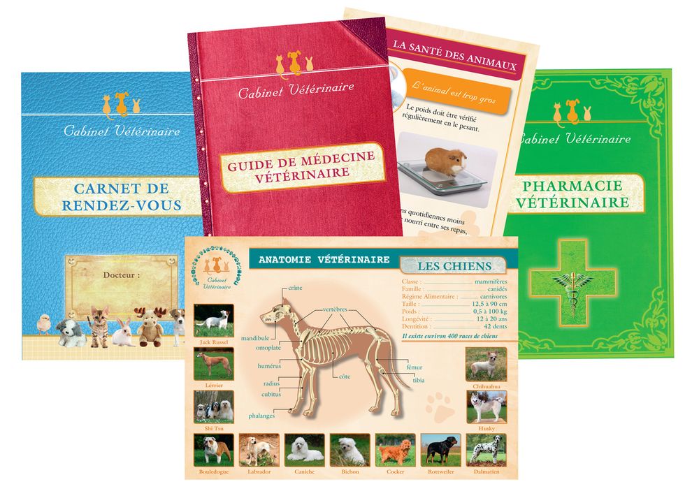 Jeux enfants - Si j'étais le vétérinaire - AMULETTE