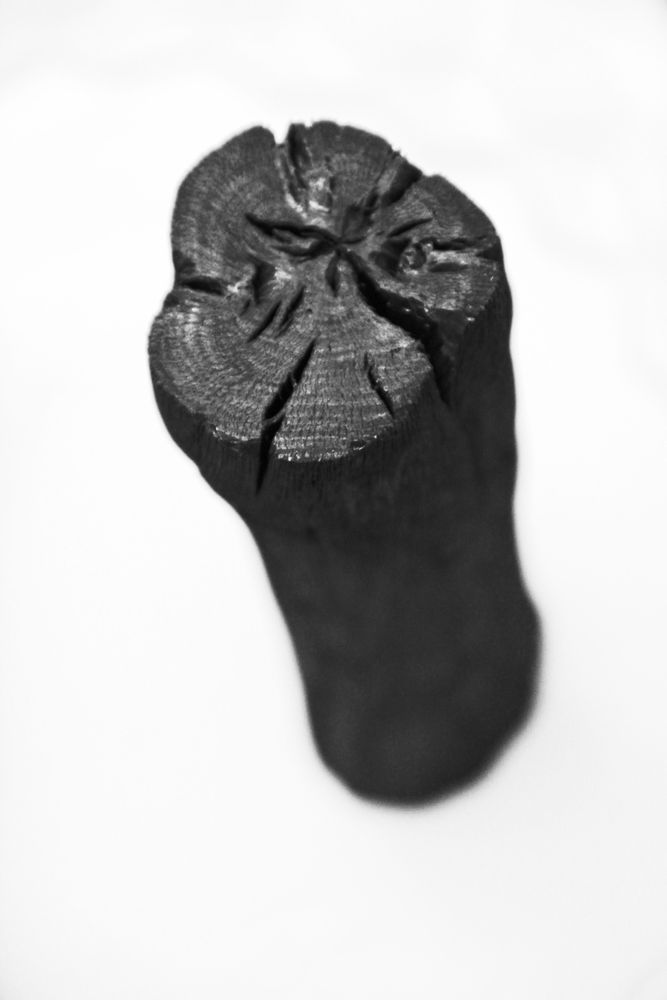 Sculptures, statuettes et miniatures - Kishu Binchotan KENKAWAI - KENKAWAI - FINE JAPANESE GOODS