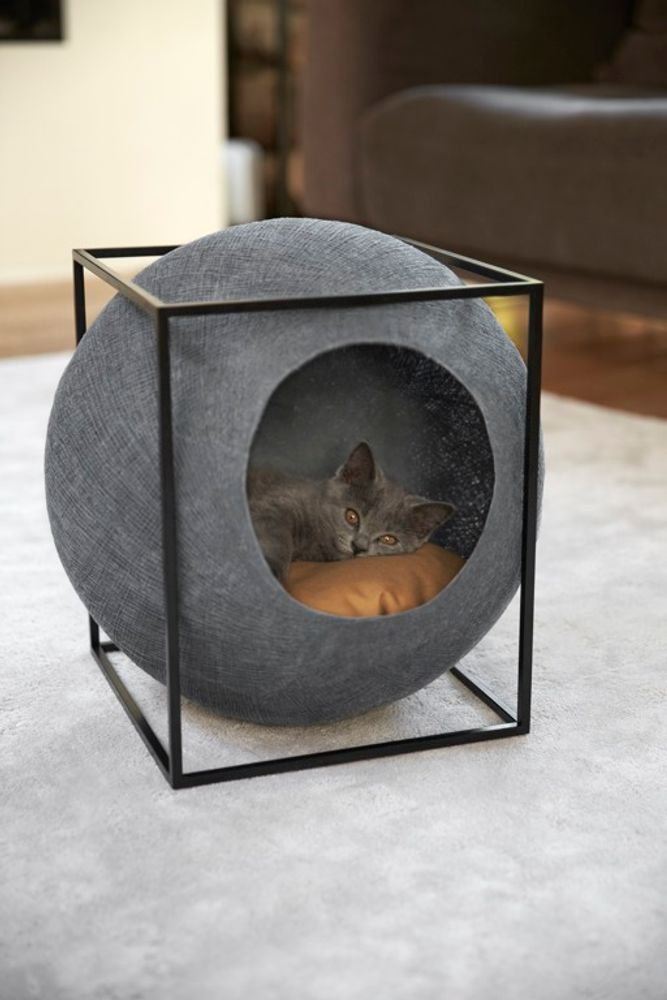 Pet accessories - The Cube Metal - MEYOU PARIS