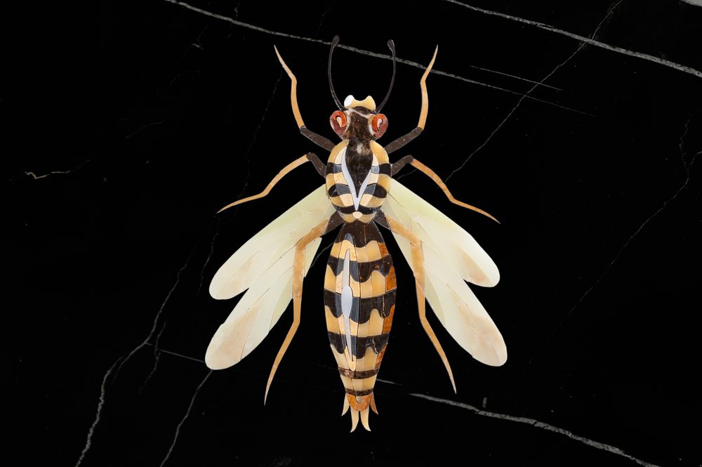 Design objects - Insects collection - STONE GALLERY