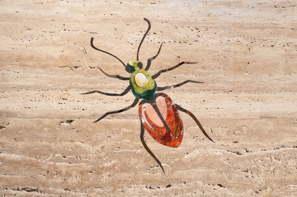 Design objects - Insects collection - STONE GALLERY