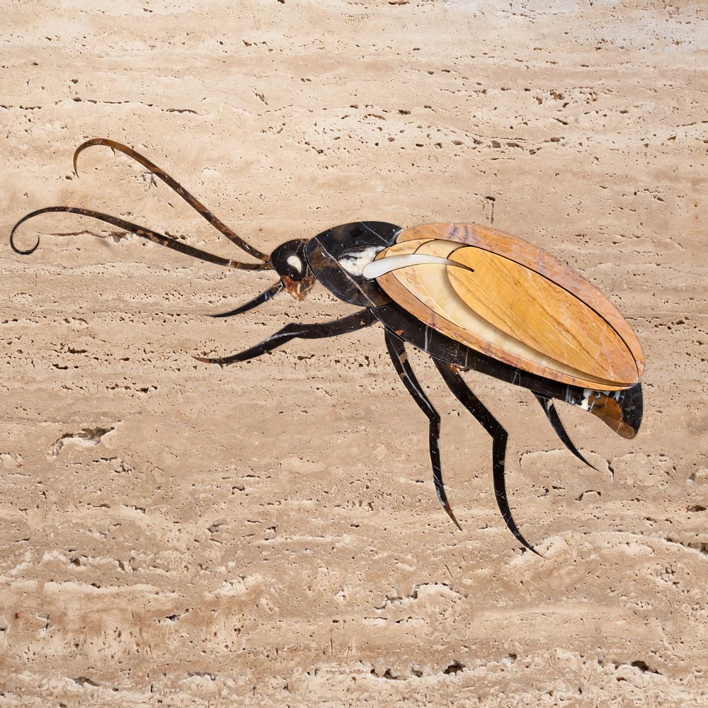 Design objects - Insects collection - STONE GALLERY