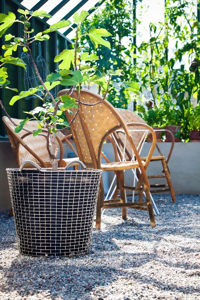 Objets design - Classic 65 - KORBO