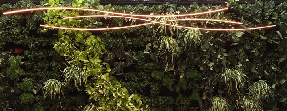 Hanging lights - _WARP1 suspension - HENRI BURSZTYN