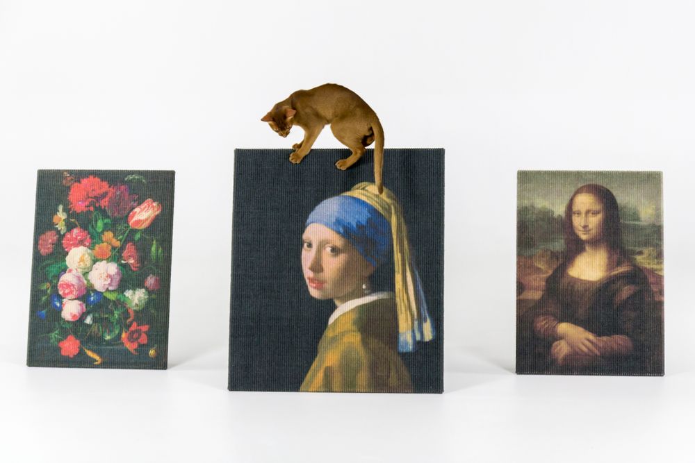 Decorative objects - Copycat Art Scratcher Decorative Item - LORD LOU