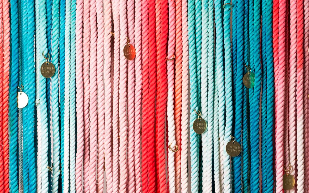 Outdoor decorative accessories - Pet Accessories  - FOUND MY ANIMAL