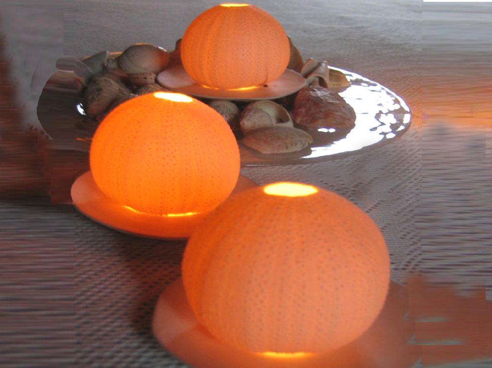 Céramique - OURSIN DIFFUSEUR - TAKAYAKA