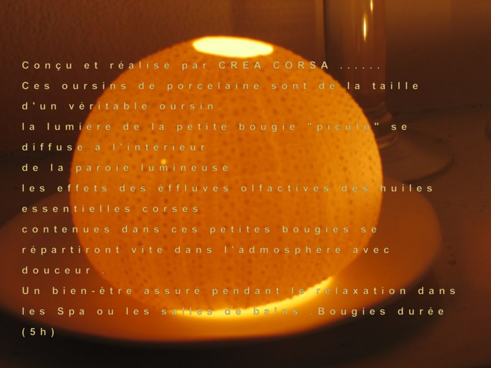 Céramique - OURSIN DIFFUSEUR - TAKAYAKA