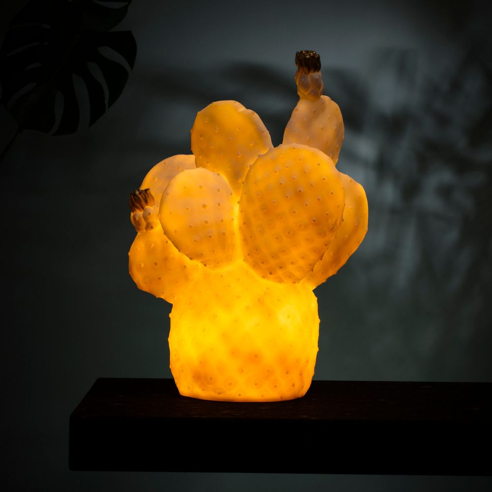 Children's lighting - The Cactus Lamp - GOODNIGHT LIGHT
