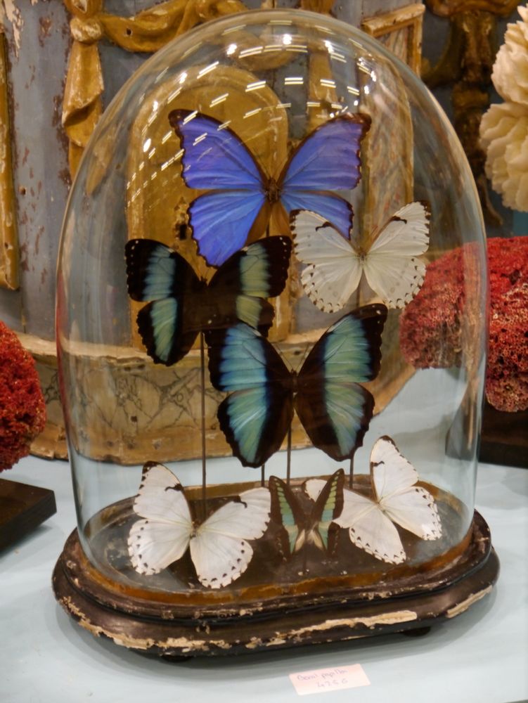 Objets de décoration - Pièces Uniques - TRIBUS & ROYAUMES PIECES UNIQUES