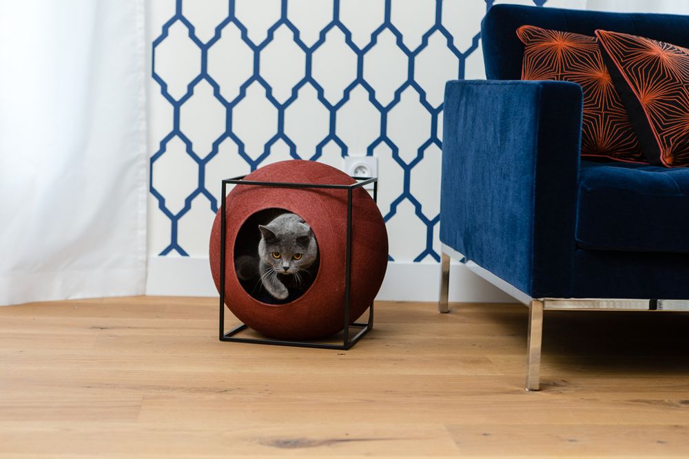 Pet accessories - The Cube Metal - MEYOU PARIS