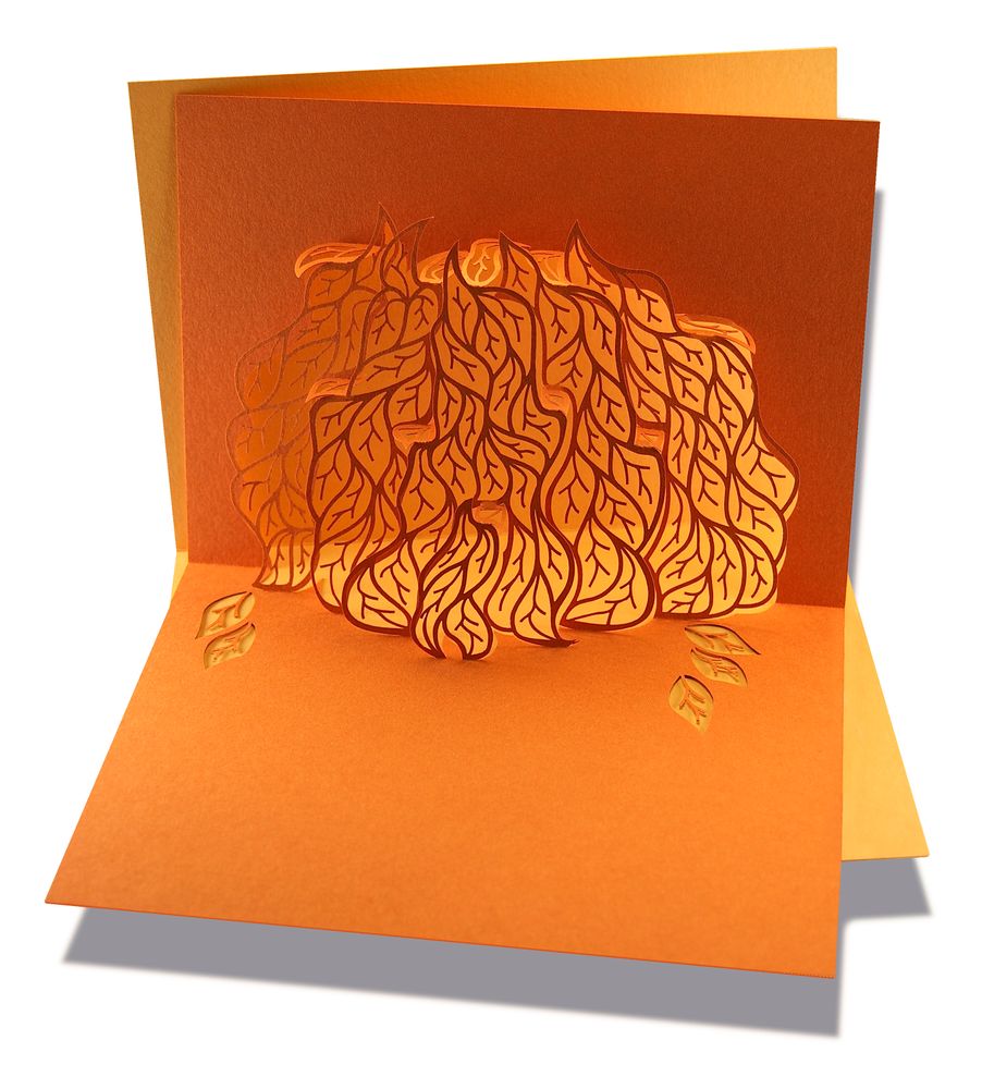 Papeterie - Couleur de la carte pop-up - RIFLETTO FILIGRANES AUS PAPIER
