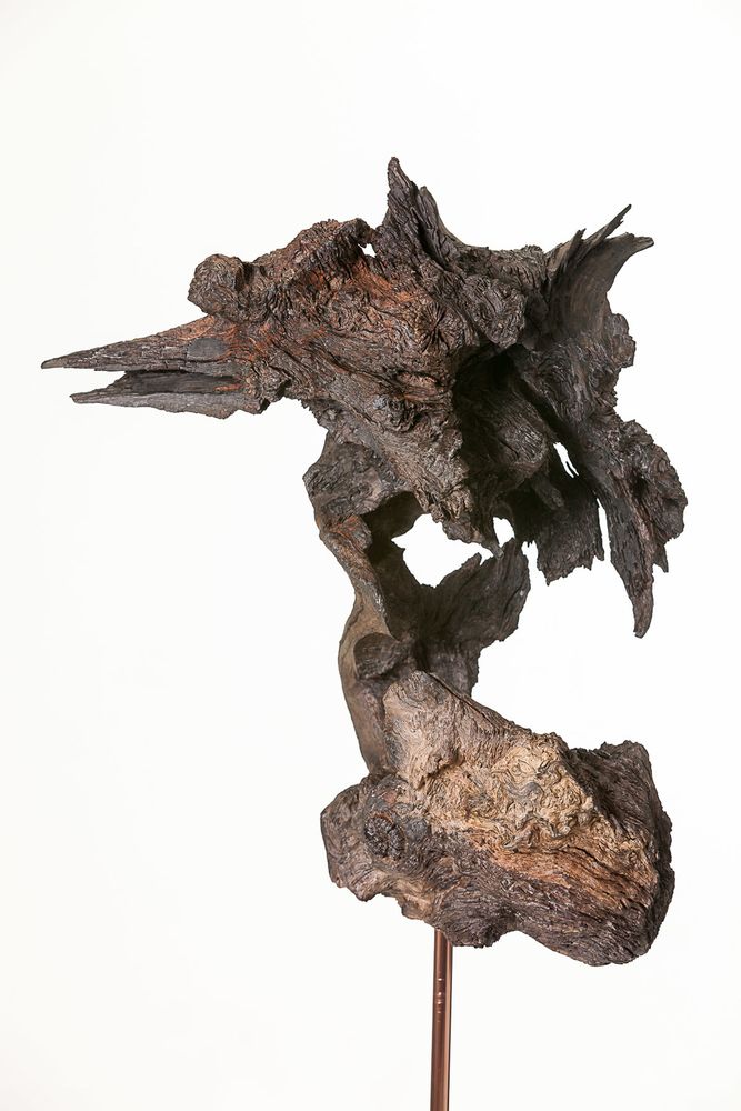 Objets de décoration - Le cormoran huppé - COLLECTION EMERGENCES