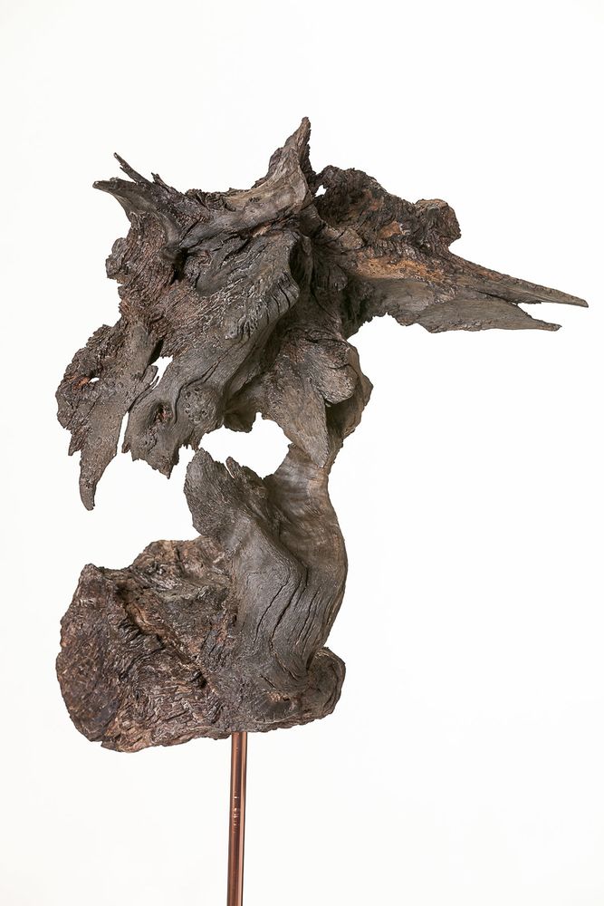 Objets de décoration - Le cormoran huppé - COLLECTION EMERGENCES