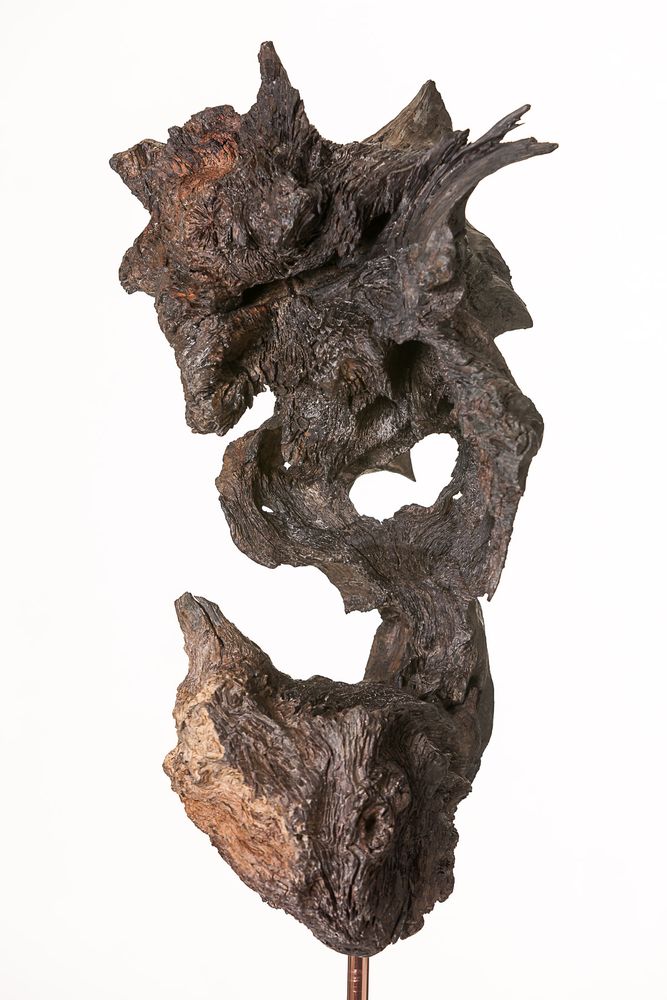 Objets de décoration - Le cormoran huppé - COLLECTION EMERGENCES