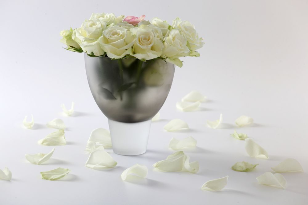 Candles - La Coupe - ARCADE VITRUM