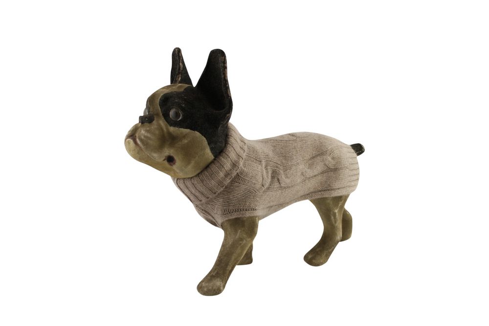 Accessoires animaux - Brunello - LORD LOU