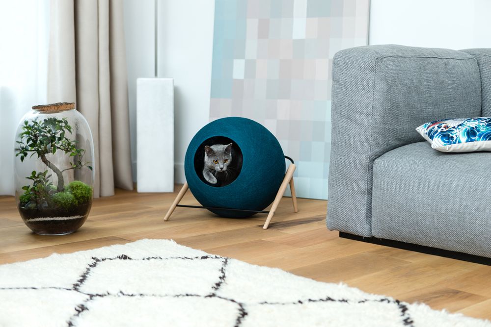 Pet accessories - The ball - MEYOU PARIS
