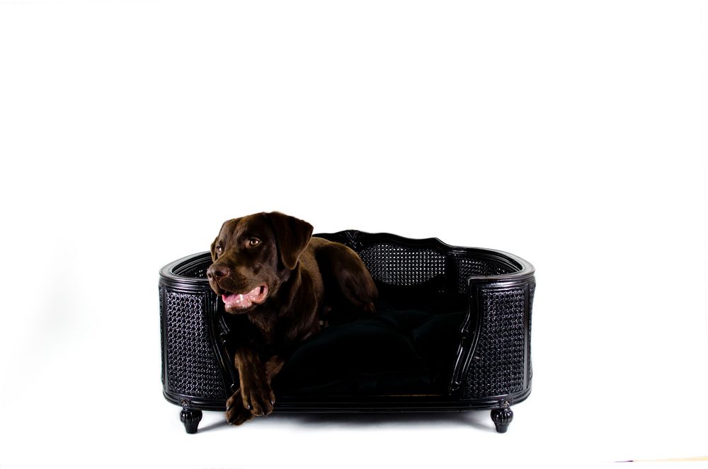 Petits canapés - Arthur M upholstered fusili dark blue - LORD LOU