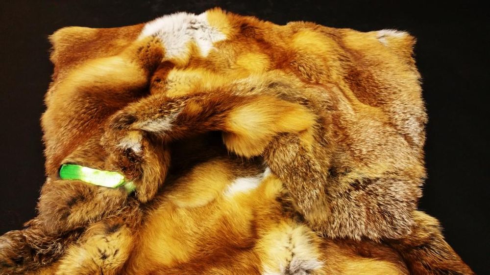Couettes et oreillers - coussin NATURE POP - FRIENDLY FUR BERLIN