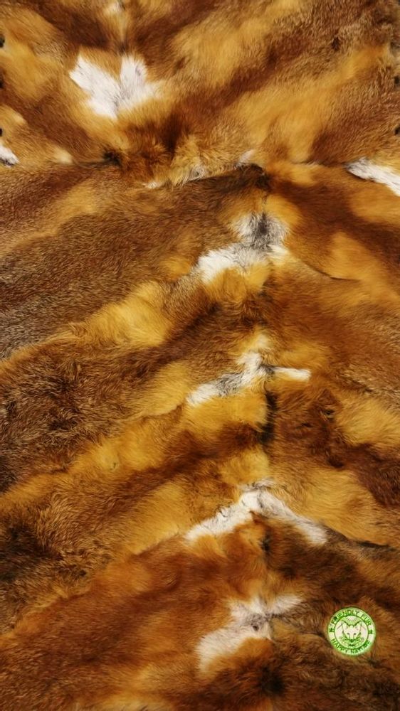 Couettes et oreillers - coussin NATURE POP - FRIENDLY FUR BERLIN