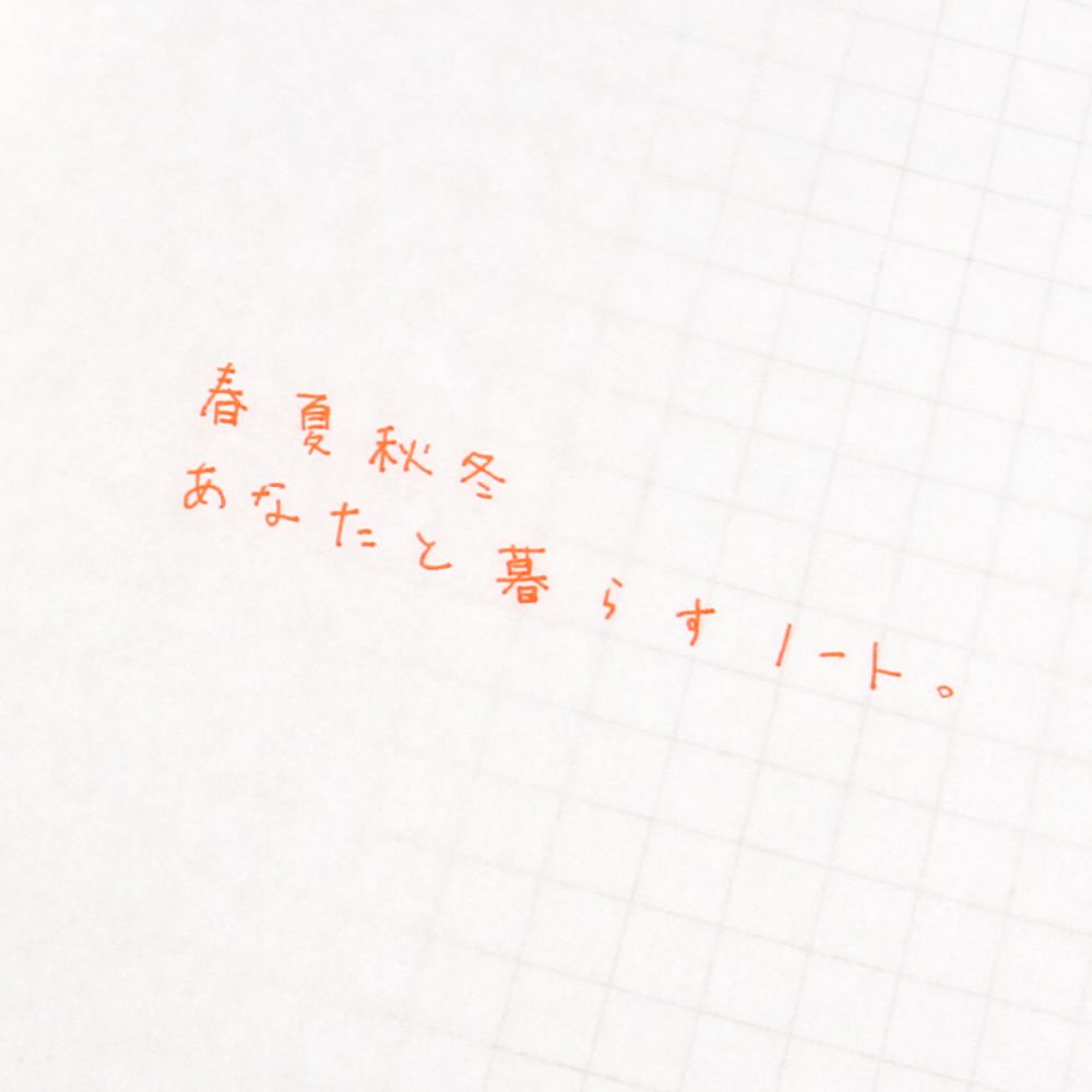 Travel accessories - 365 notebook shiki - 365NOTEBOOK