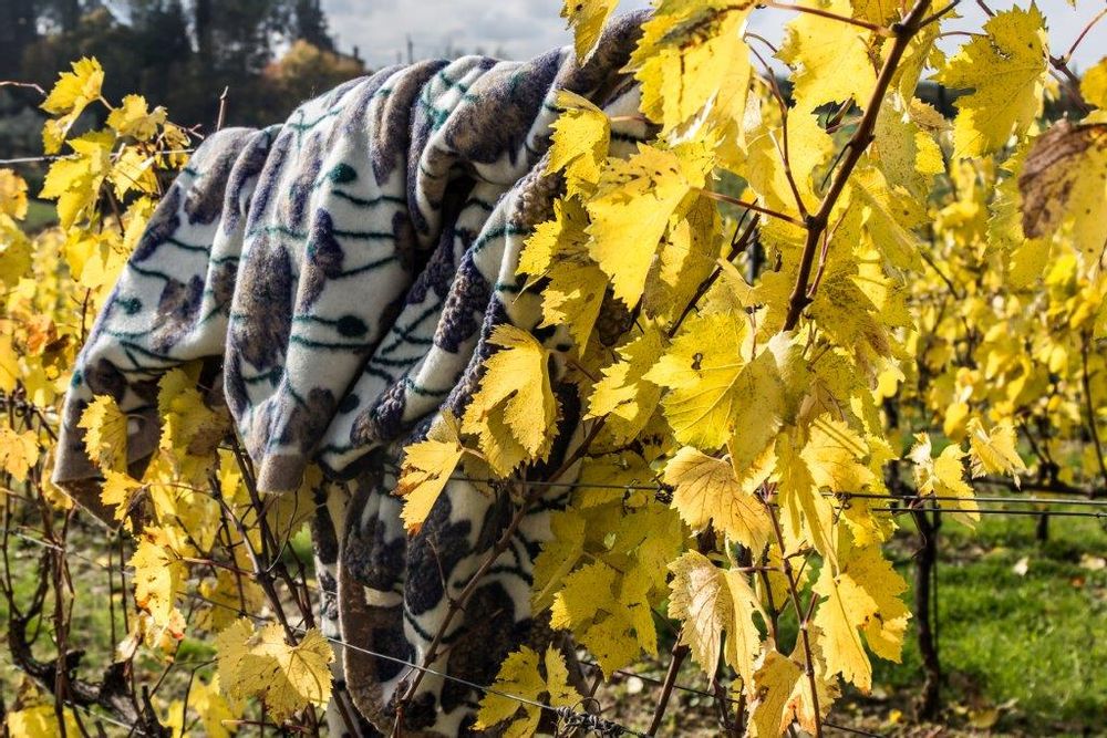 Throw blankets - FEELGOODHOME HOME COLLECTION - FEELGOODHOME BY FRATI SRL