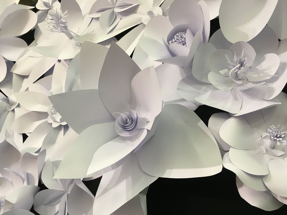 Floral decoration - Eye Catcher - ALEX HACKETT