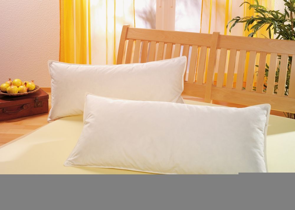 Comforters and pillows - Pillows - H.S. INTERNATIONAL (HANSETEXTIL)