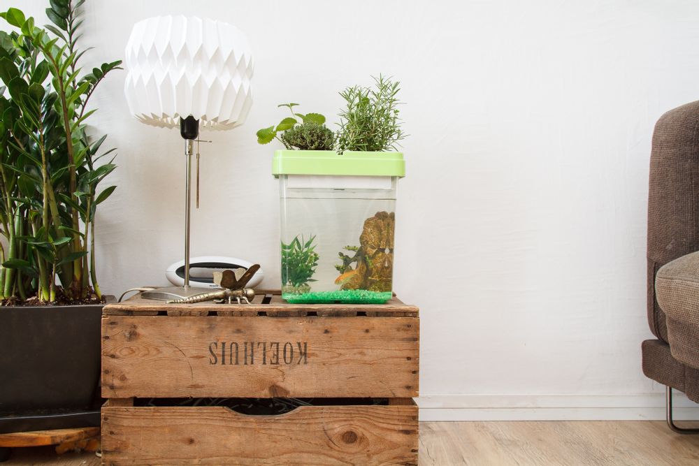 Children's games - OZARIUM  kids - CITIZENFARM