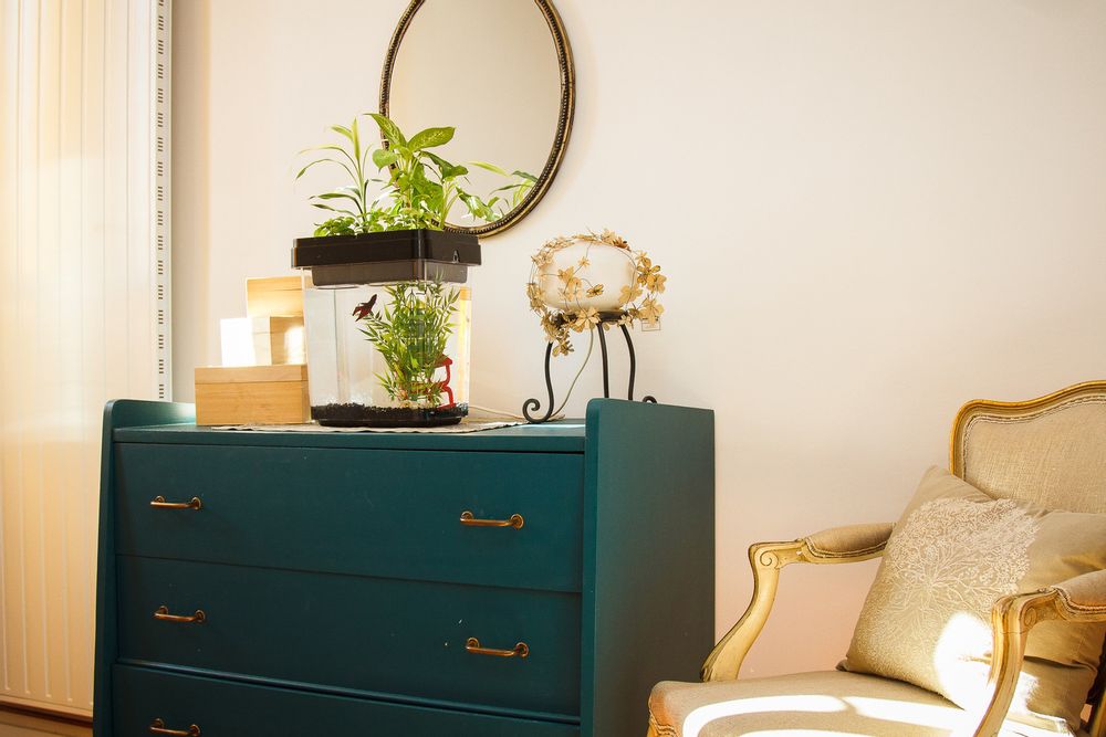 Children's games - OZARIUM  kids - CITIZENFARM