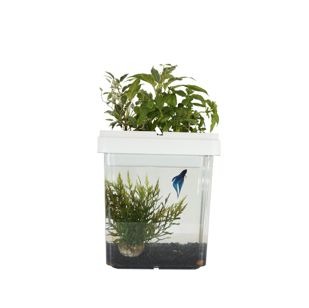 Children's games - OZARIUM  kids - CITIZENFARM