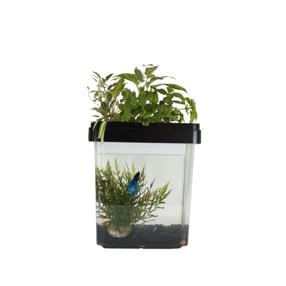 Children's games - OZARIUM  kids - CITIZENFARM