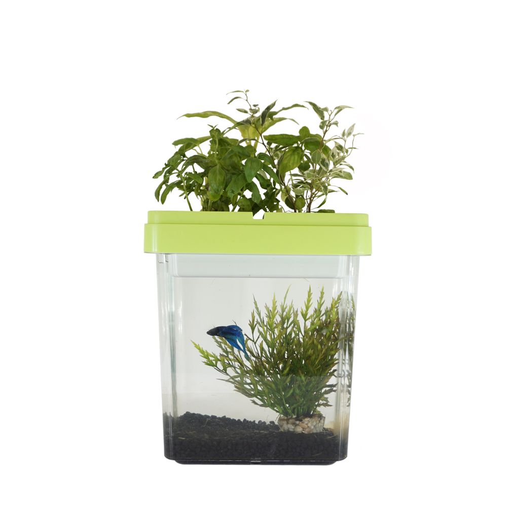 Children's games - OZARIUM  kids - CITIZENFARM