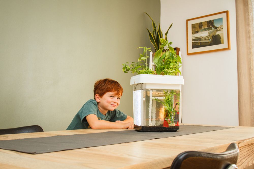 Children's games - OZARIUM  kids - CITIZENFARM