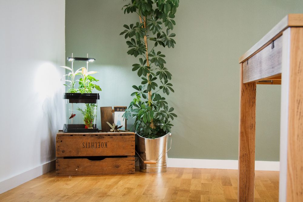 Objets déco enfant - OZARIUM LED - CITIZENFARM