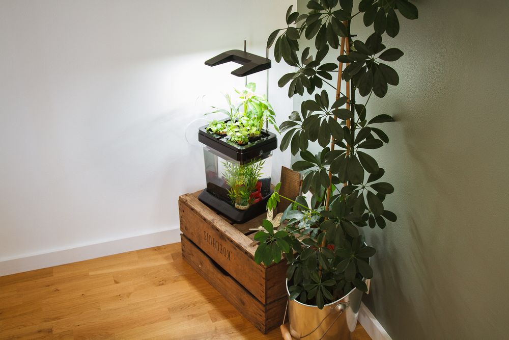 Objets déco enfant - OZARIUM LED - CITIZENFARM