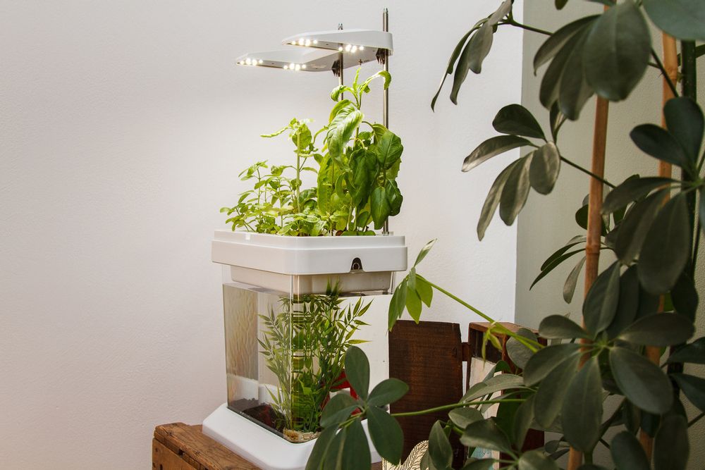Objets déco enfant - OZARIUM LED - CITIZENFARM