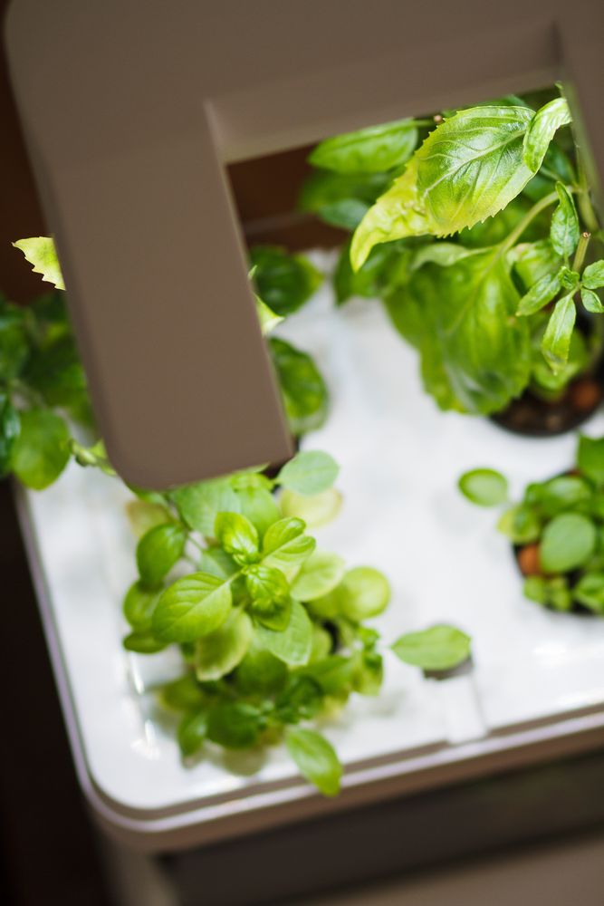 Objets déco enfant - OZARIUM LED - CITIZENFARM