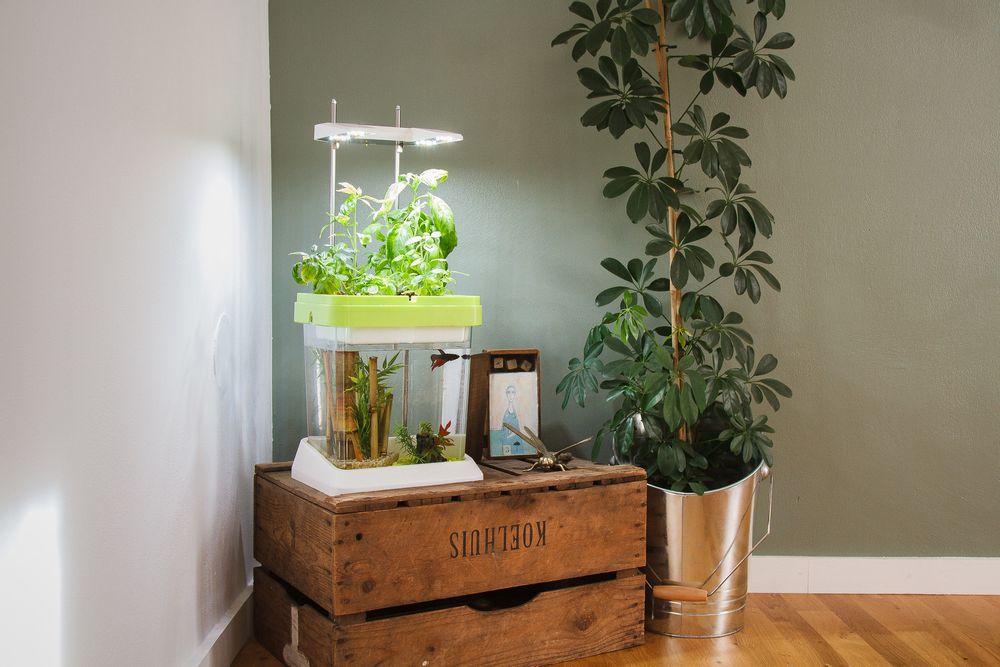 Objets déco enfant - OZARIUM LED - CITIZENFARM
