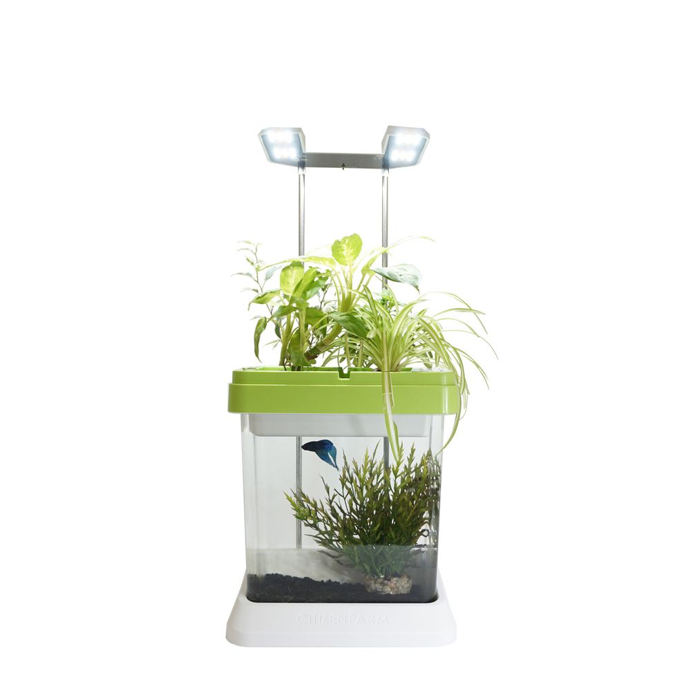 Objets déco enfant - OZARIUM LED - CITIZENFARM