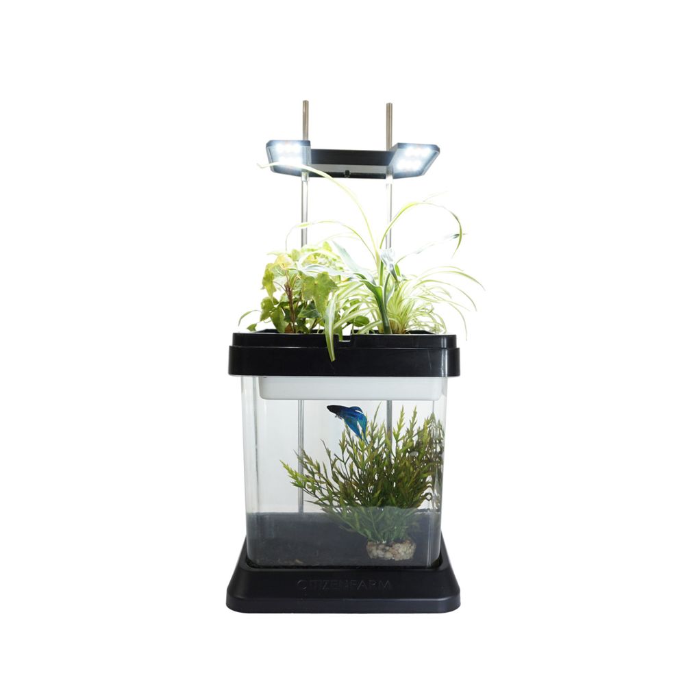 Objets déco enfant - OZARIUM LED - CITIZENFARM